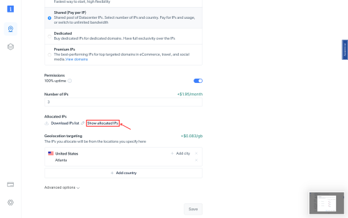 Settings page showing IP allocation details.
