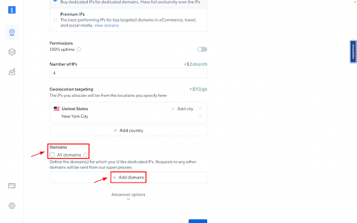 Settings page showing domains and geolocation options.