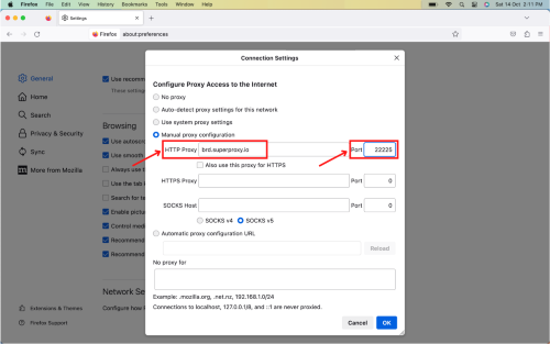 firefox proxy config