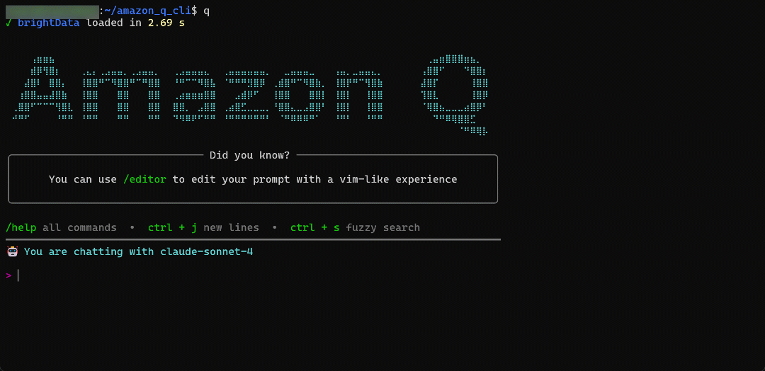 Task execution in Amazon Q Developer CLI