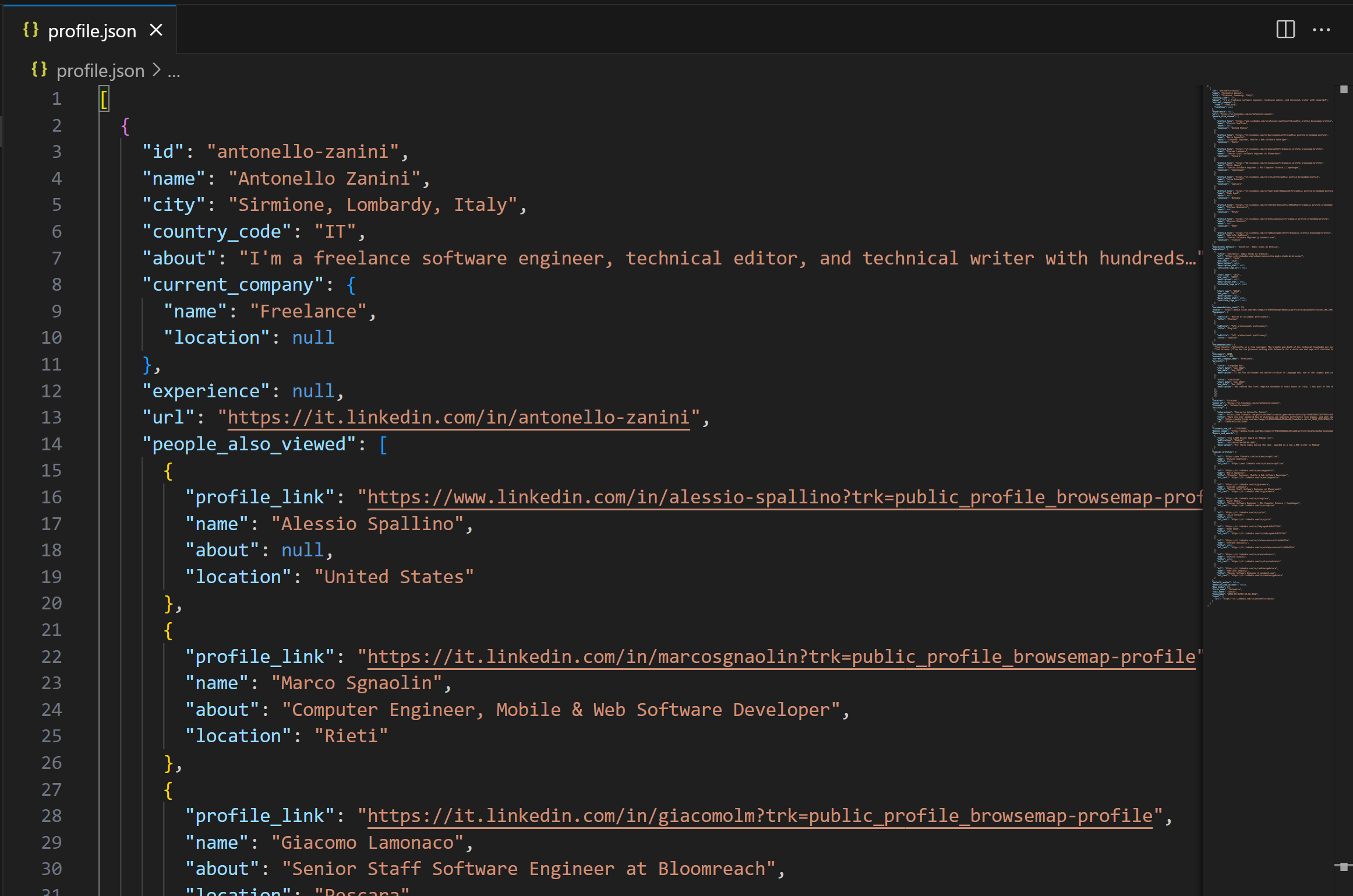 profile.json in VS Code