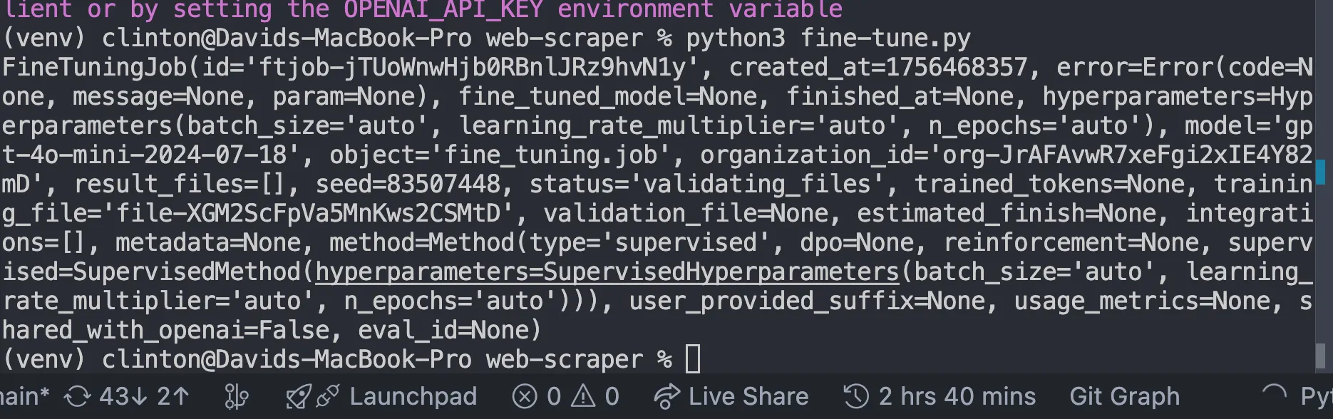 Terminal showing fine-tuning job validating files