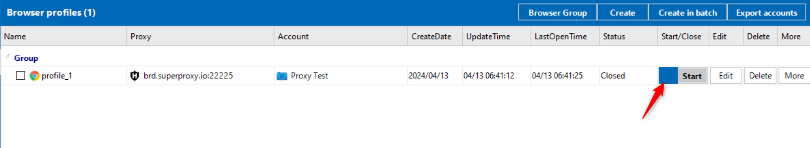 Browser profile management window with start button highlighted.