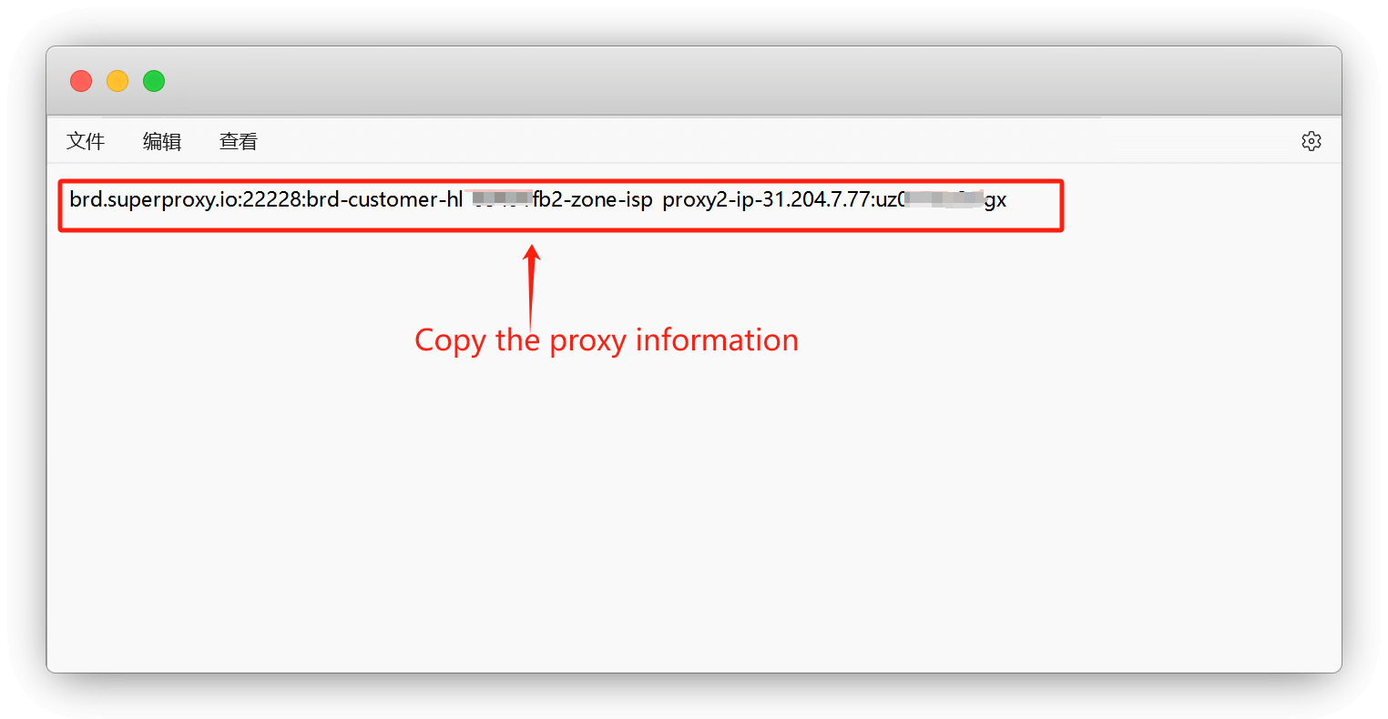 proxy details example