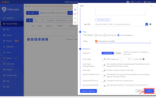 BitBrowser setup screen with various configuration options.