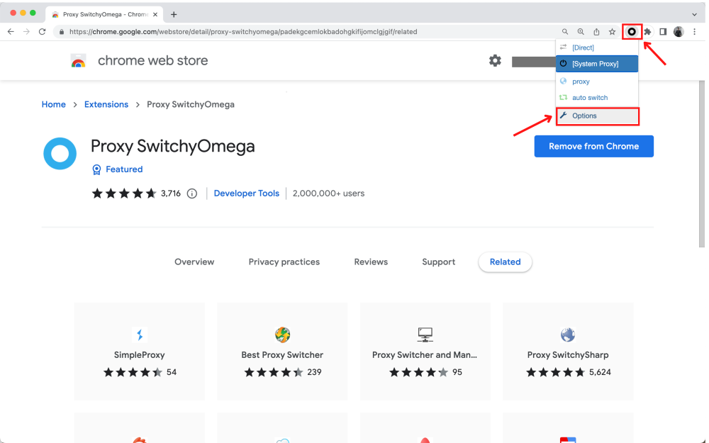 Proxy SwitchyOmega extension on Chrome Web Store's page.