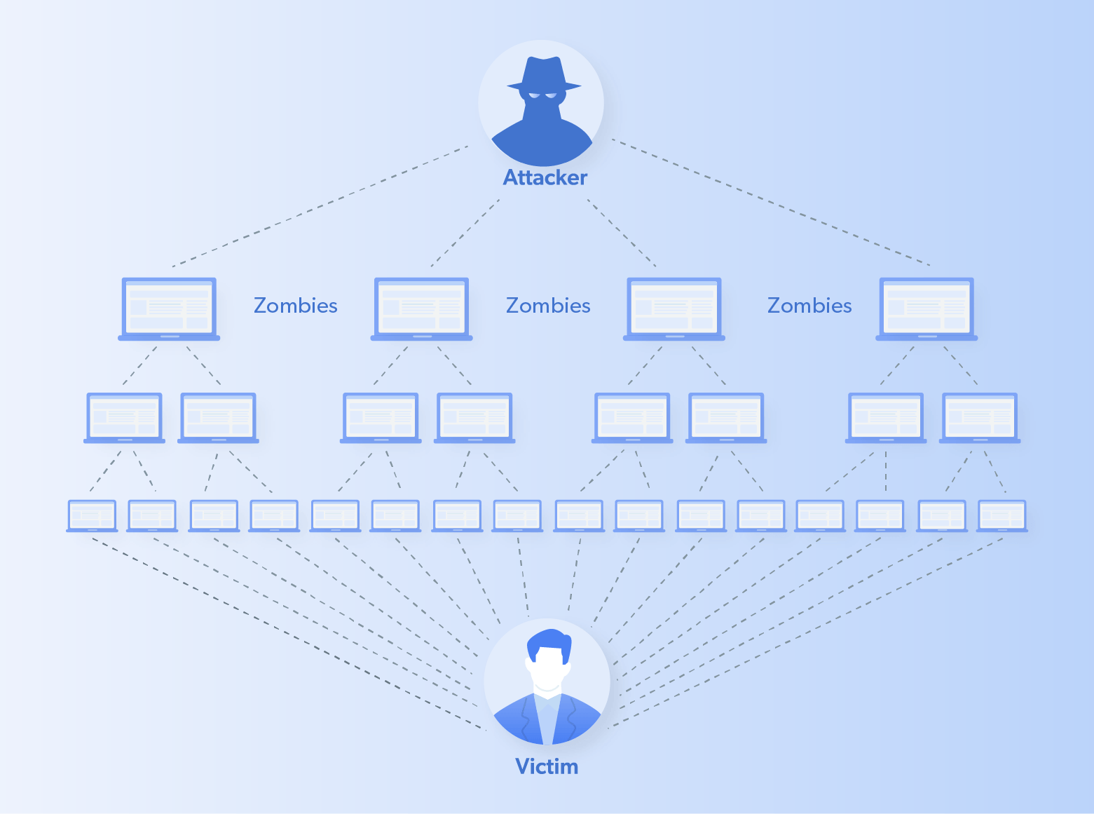 Mapping out how a DDOS attack works, with attacker setting up zombie computer to then enter the proxy network and attack a victim computer